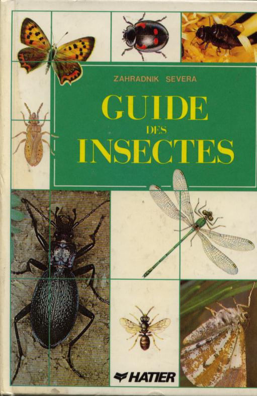 Guide_des_insectes